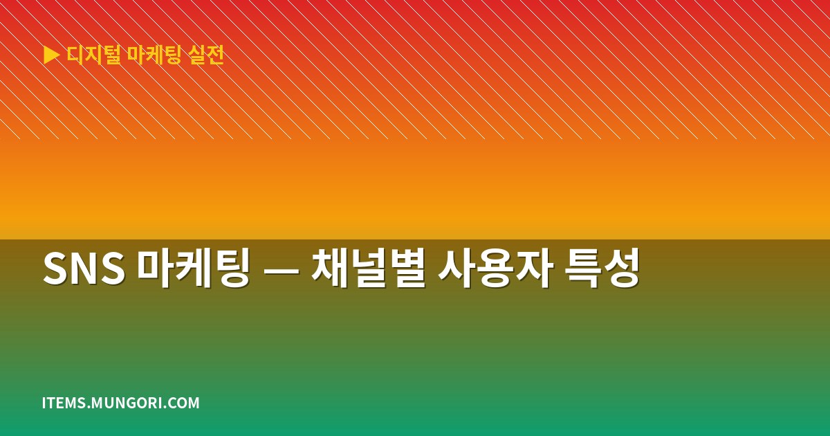 SNS 마케팅 — 채널별 사용자 특성
