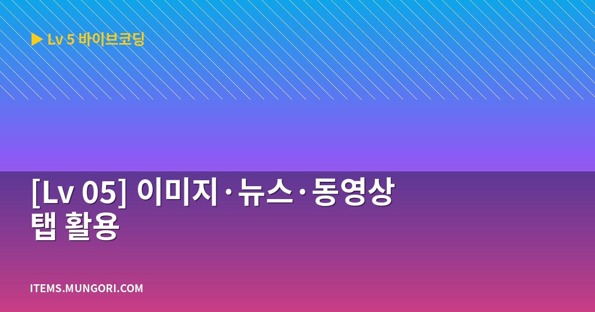 [Lv 05] 이미지·뉴스·동영상 탭 활용