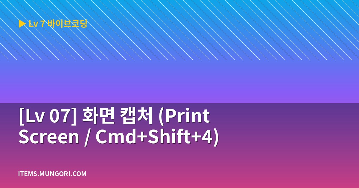 [Lv 07] 화면 캡처 (Print Screen / Cmd+Shift+4)