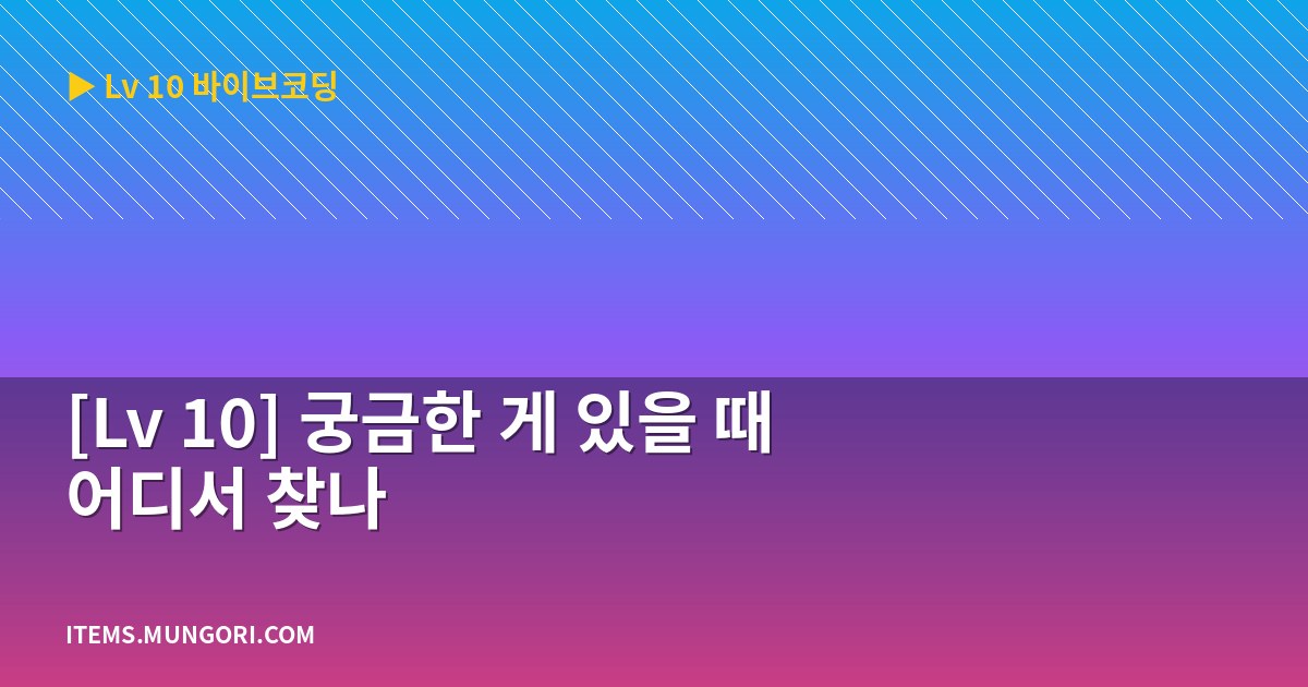 [Lv 10] 궁금한 게 있을 때 어디서 찾나