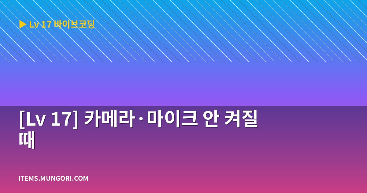 [Lv 17] 카메라·마이크 안 켜질 때
