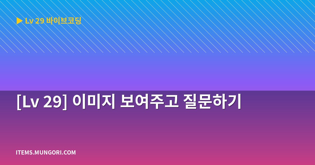 [Lv 29] 이미지 보여주고 질문하기