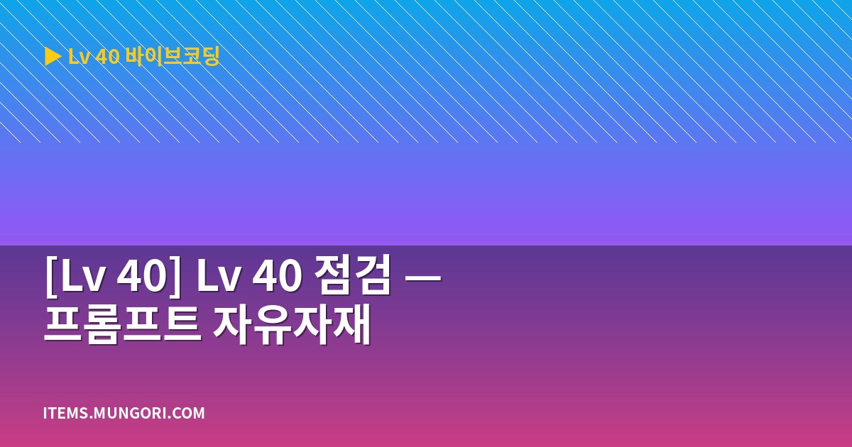 [Lv 40] Lv 40 점검 — 프롬프트 자유자재