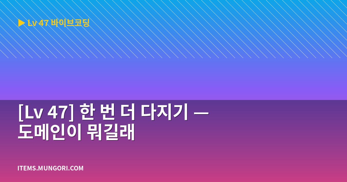 [Lv 47] 한 번 더 다지기 — 도메인이 뭐길래