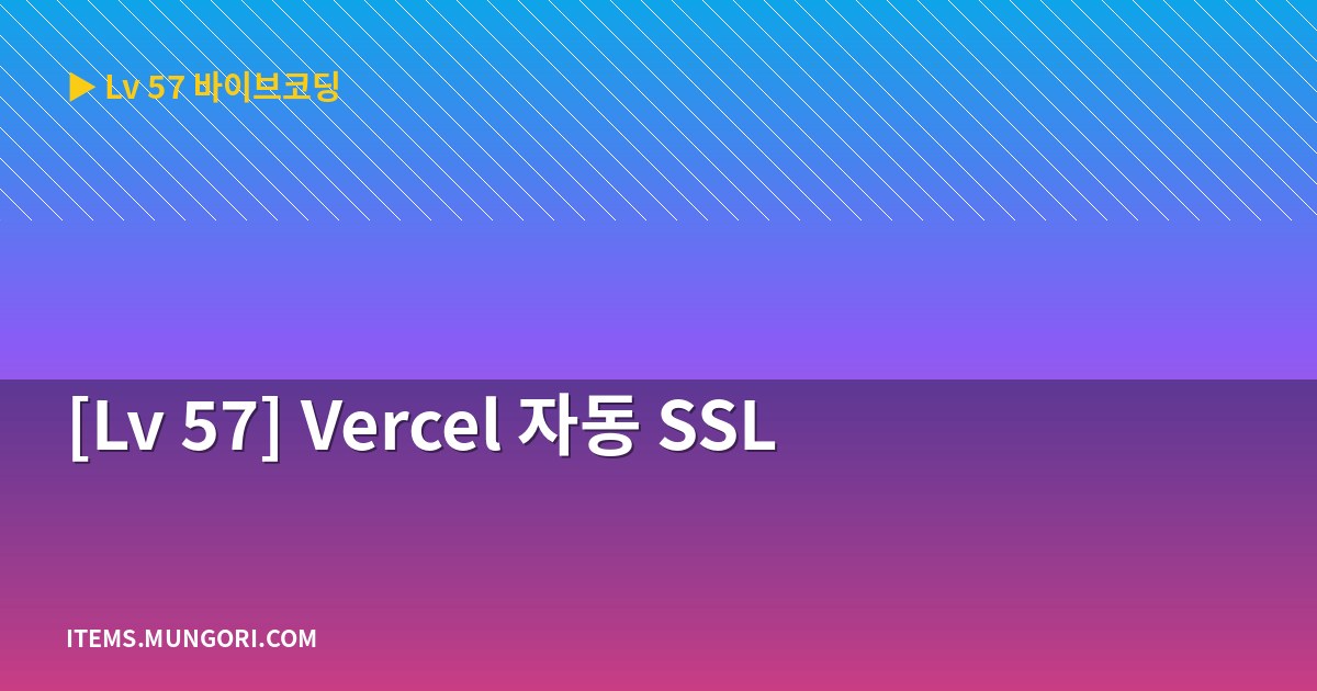 [Lv 57] Vercel 자동 SSL