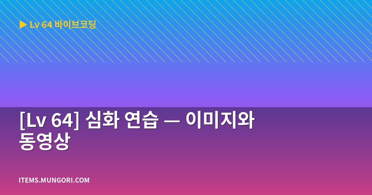[Lv 64] 심화 연습 — 이미지와 동영상